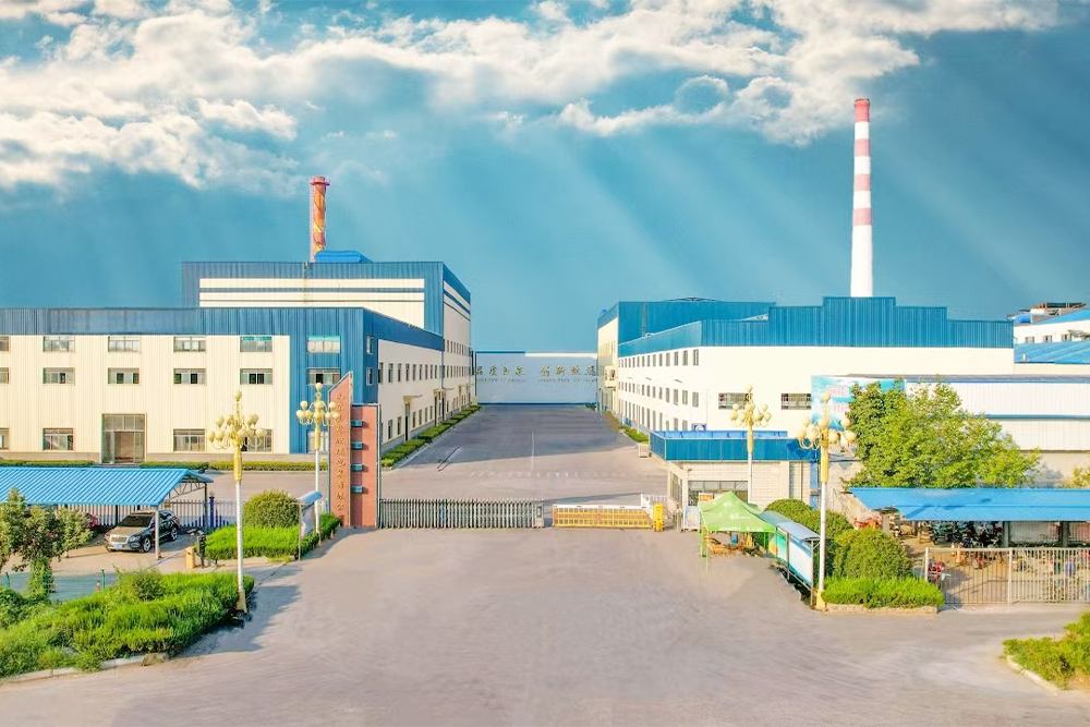 Company Profile